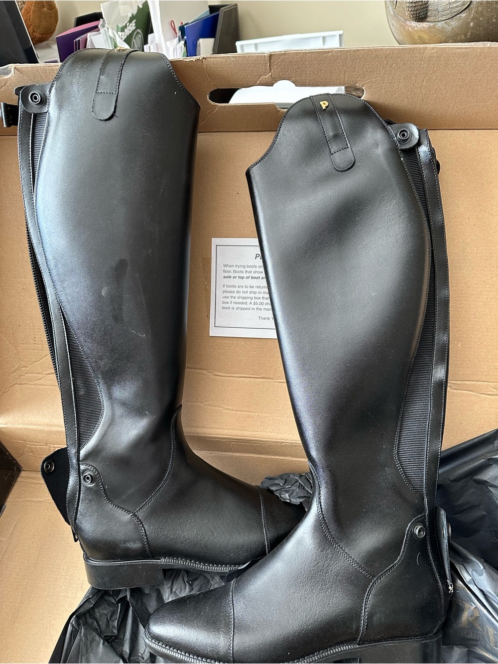 Petrie Sydney Dressage Boots NIB